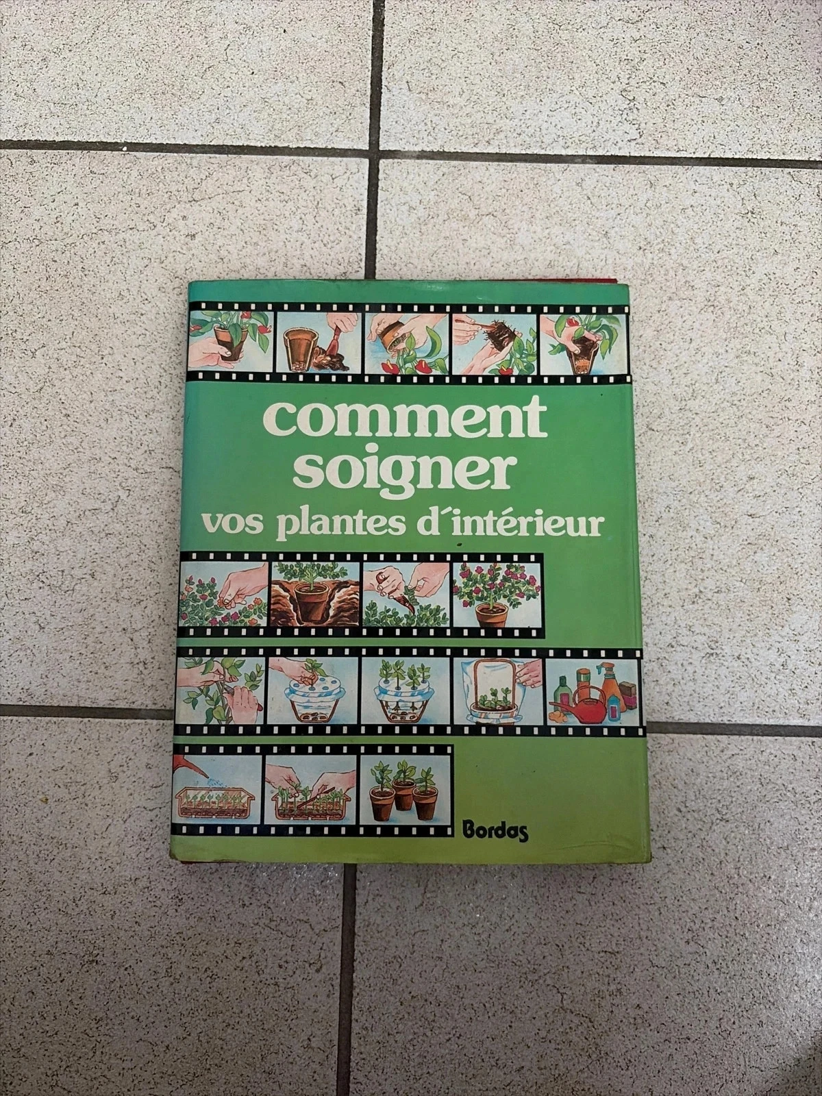 Livre comment soigner vos plantes d’intérieur